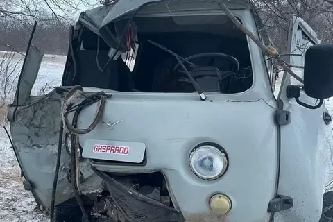 В Волгоградской области уличный кот спровоцировал ДТП с тремя пострадавшими
