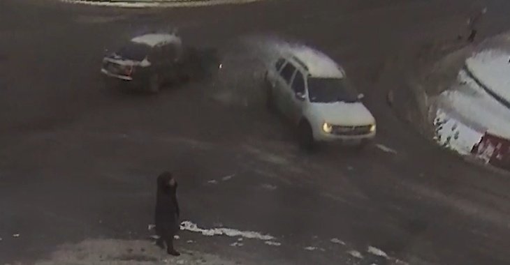 В Волгоградской области уличный кот спровоцировал ДТП с тремя пострадавшими