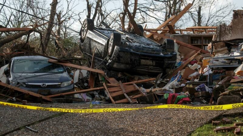 Не менее 17 человек стали жертвами торнадо в нескольких штатах США