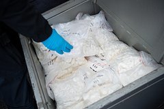 Молодые супруги обустроили нарколабораторию на подмосковной даче, полиция изъяла мефедрон